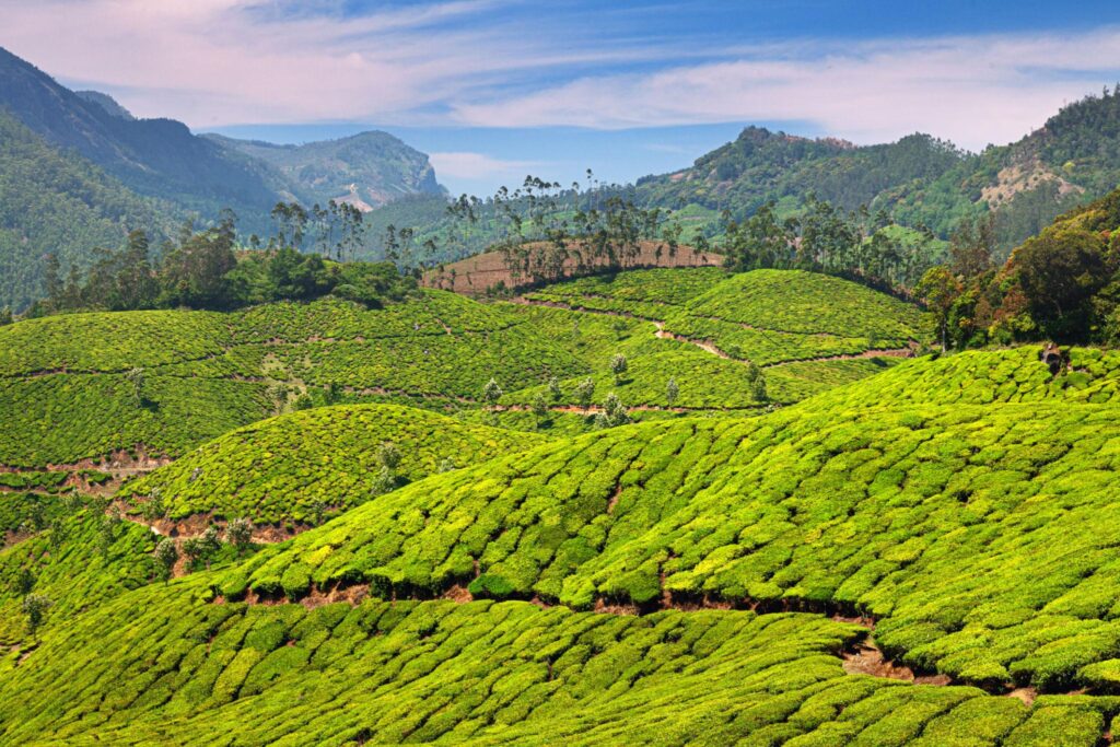 keralam coorg